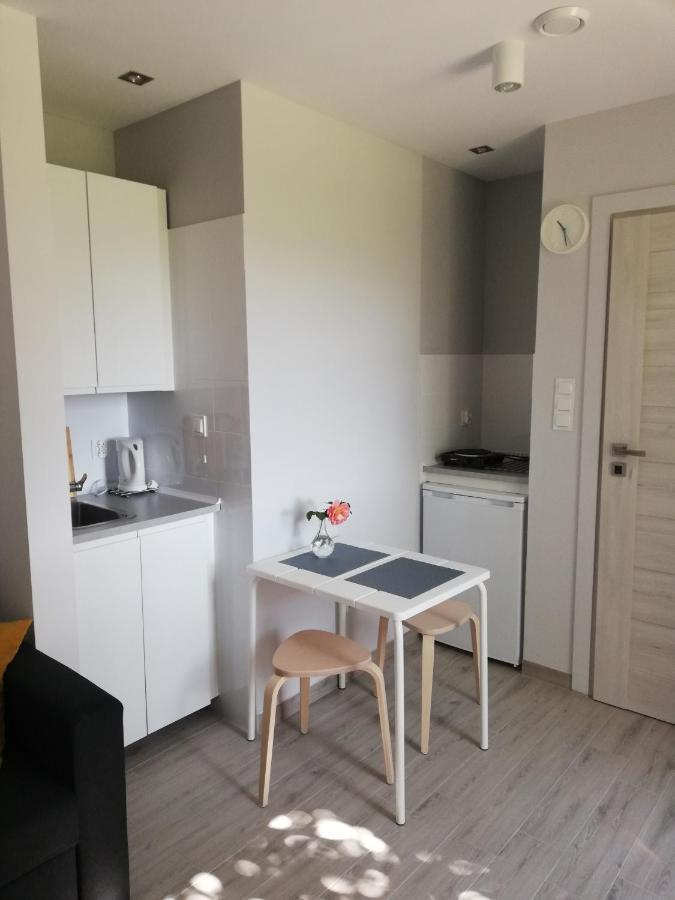 Studio Beskidy Apartment Zywiec Luaran gambar